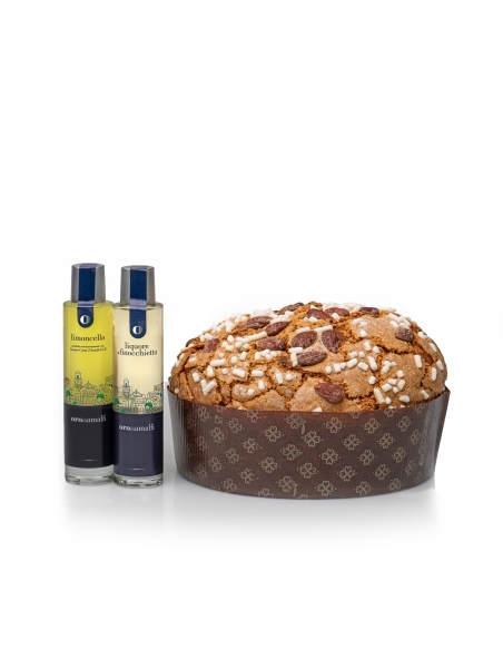 Classic artisan Panettone